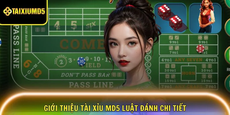 gioi-thieu-tai-xiu-md5-luat