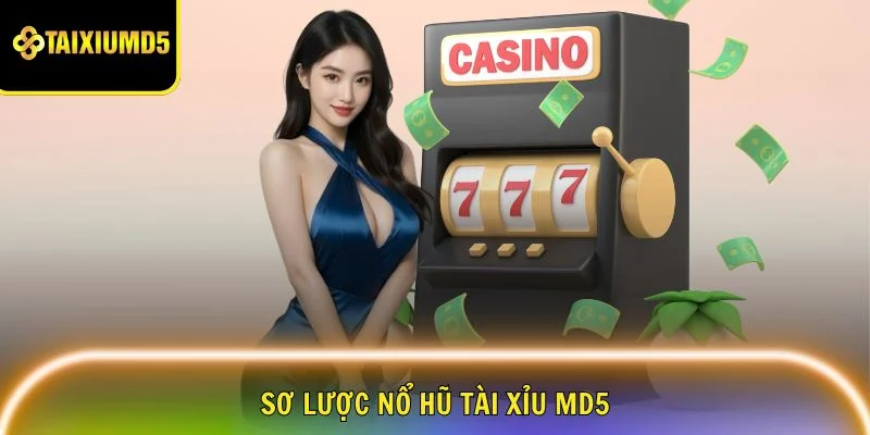 no-hu-tai-xiu-md5-so-luoc