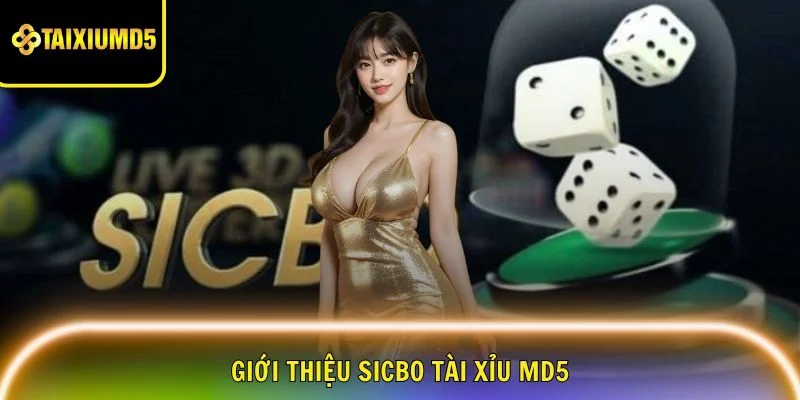 sicbo-tai-xiu-md5-gioi-thieu