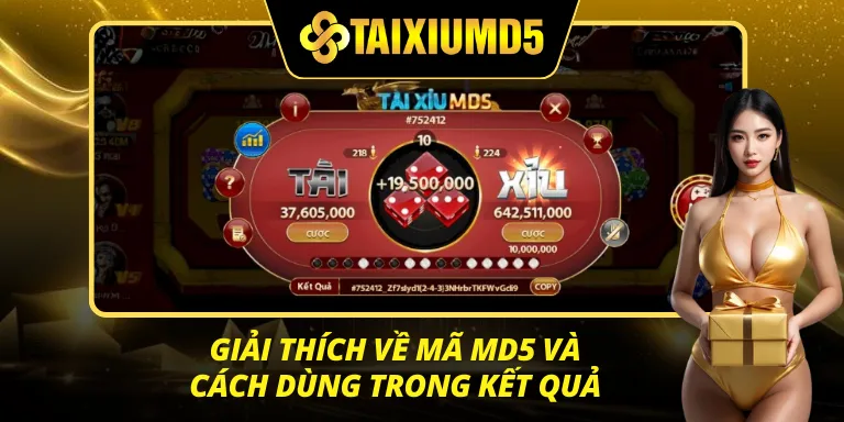 Giải thích về Tài Xỉu MD5 & Cách dùng trong kết quả